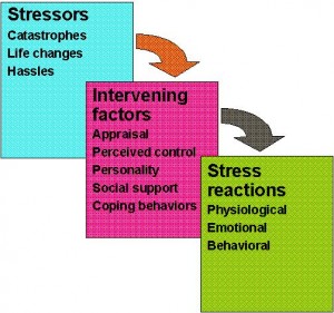 StressModel